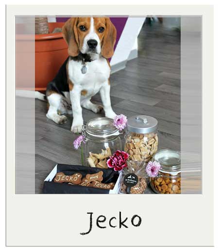 Jecko avec nos Biscuits avec le nom du chien